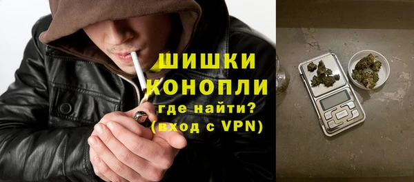 индика Балабаново