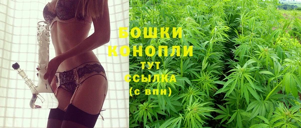 индика Балабаново