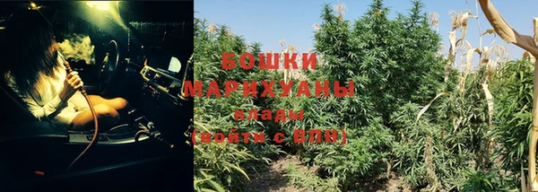 гидра Баксан