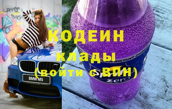 индика Балабаново