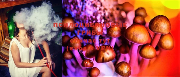 не бодяженный Арсеньев