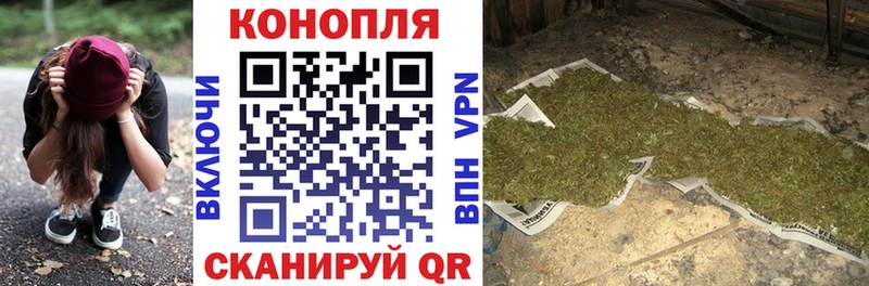 Конопля индика  купить  цена  МЕГА tor  Усть-Джегута 